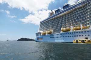 Bay of Islands 31oct2019 (265)